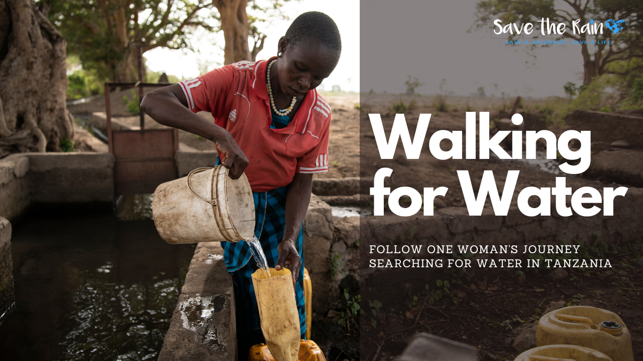 Load video: Follow a woman as she spends her day walking for water with her donkeys.